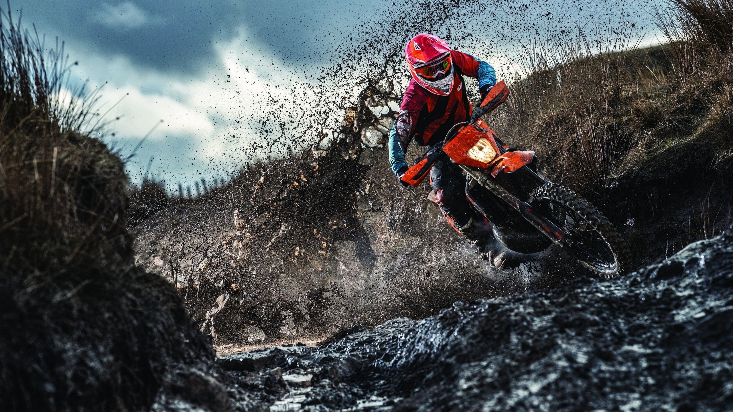 国际乒联混合团体世界杯赛制深度解析:德国队面临哪些考验,国际乒联 世界杯