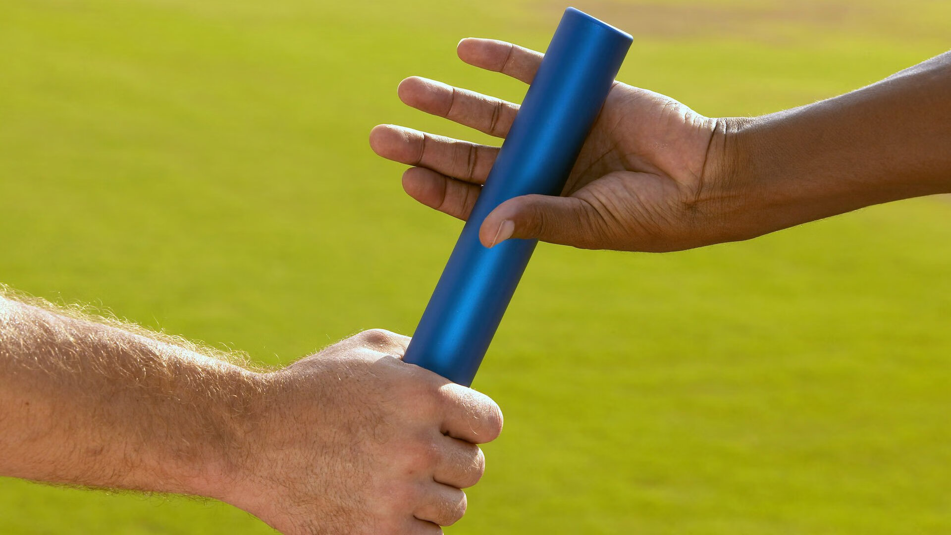 体育行业碳排放控制政策建议，运动 碳排放